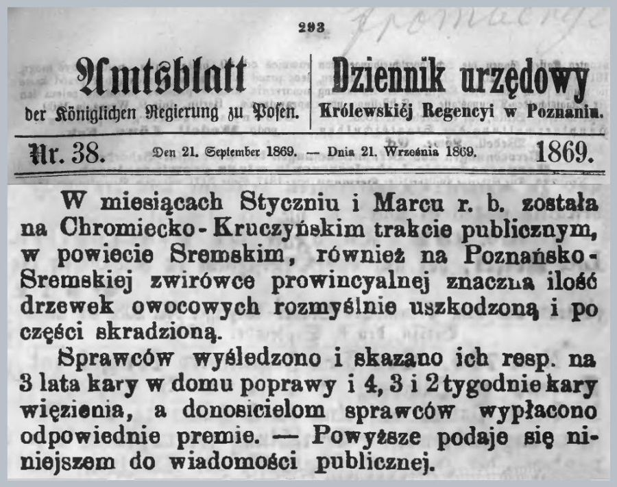 Kradzież drzewek Chromiec - Kruczyn. Dziennik urzędowy 1869 r.